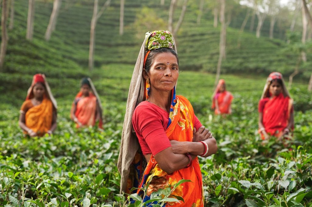 Indian-women-farmers-1-1600×1064-1-1024×681