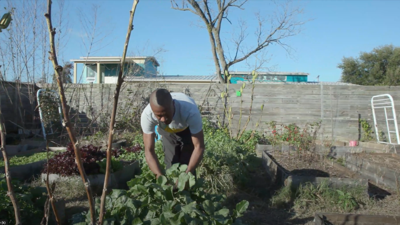 nathan_examining_greens